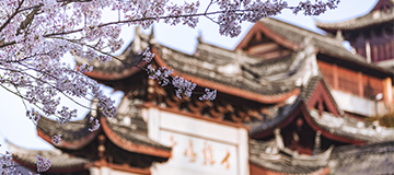 沈陽網站建設怎么制造網頁，網站主頁是長版好仍是短版好